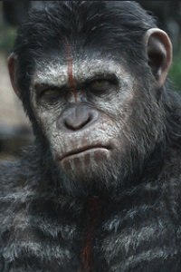 Dawn of the Planet of the Apes